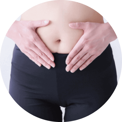 オーガニックビューティー腸内作用を促す